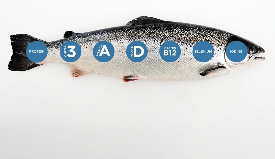 ماهی سالمون نروژی