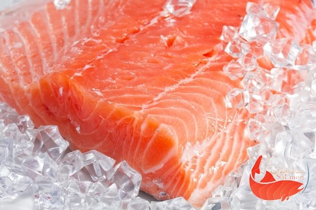 ماهی سالمون منبع طبیعی و غنی از اسید های چرب