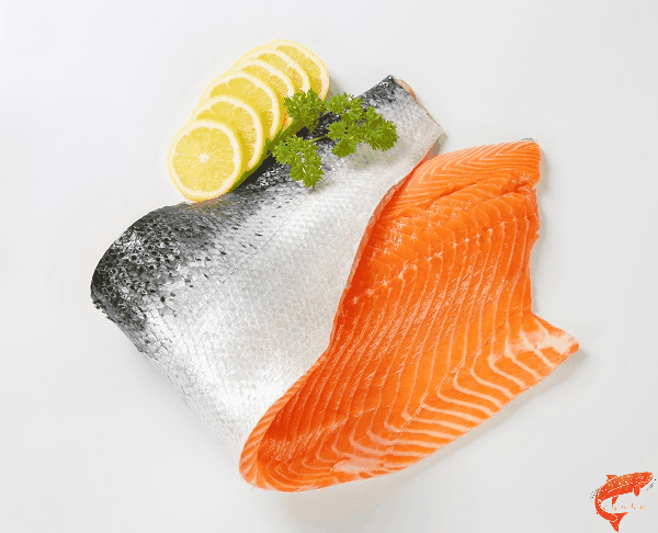  ماهی سالمون منبع اسید های چرب